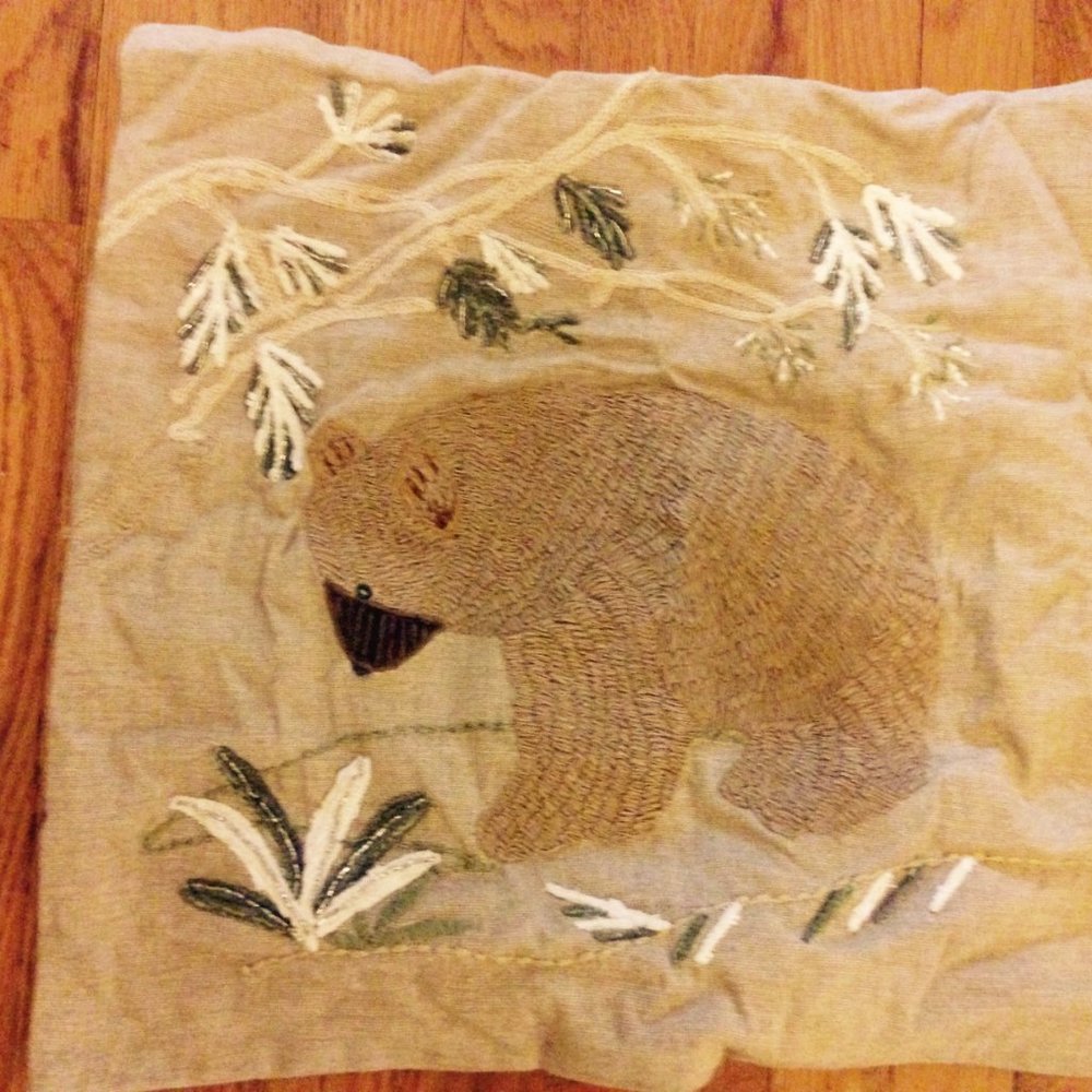 Embroidered pillow cover by pottery barn 20 plus inch square - Picture 3 of 4